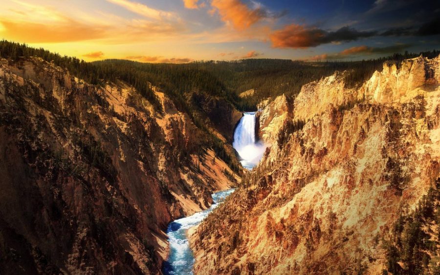 Conservation of Yellowstone National Park