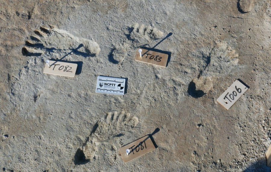 21,000 Year Old Footprints Discovered in New Mexico, Oldest in North America