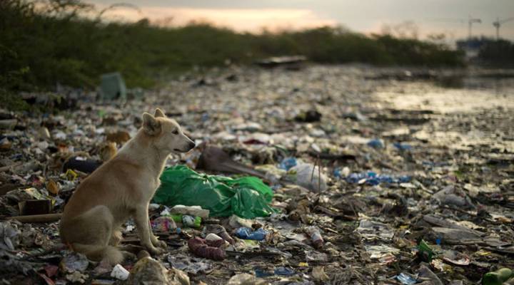 Is Governor Healeys Ban on Single-Use Plastic Reasonable?