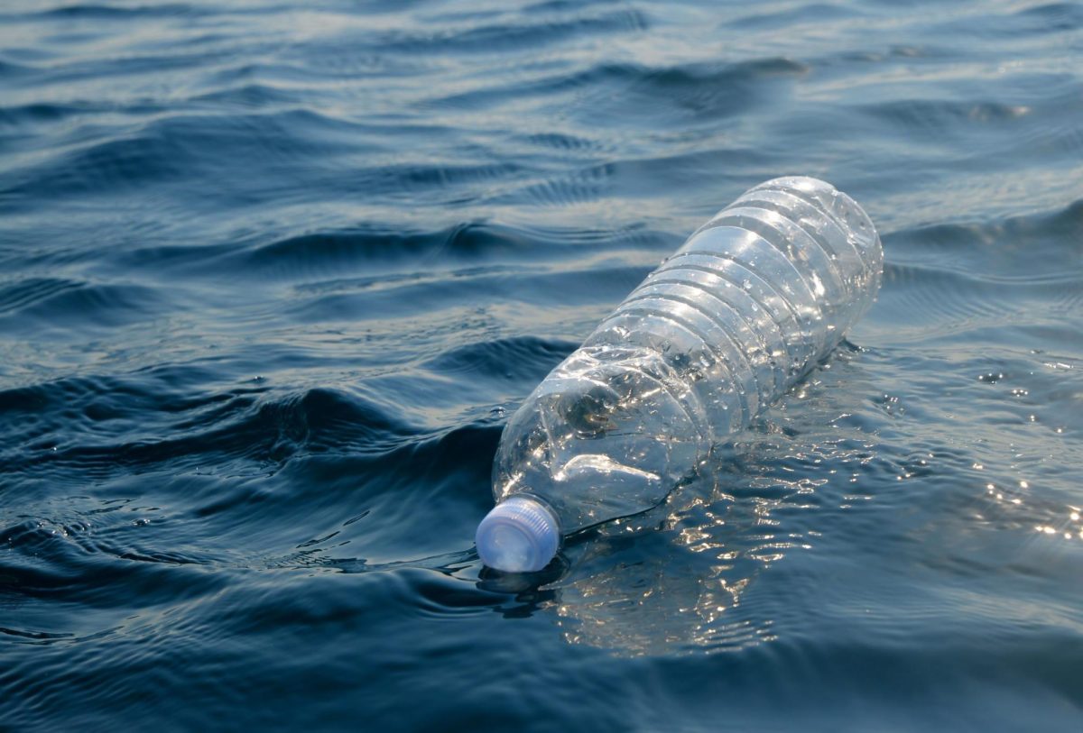 Plastic water bottle floating in the ocean