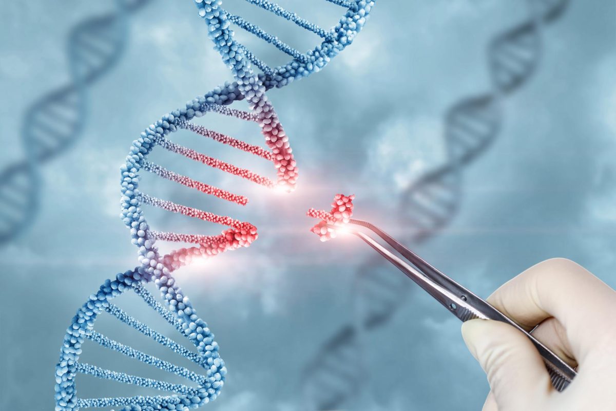 Humans can now edit DNA, what will come of this?