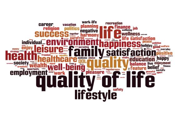 quality of life word structure 