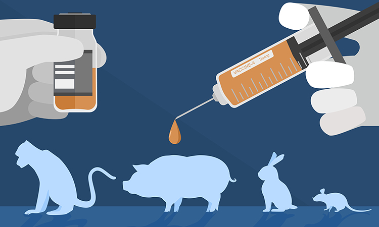 All animals are tested on, but should they be the test subjects?