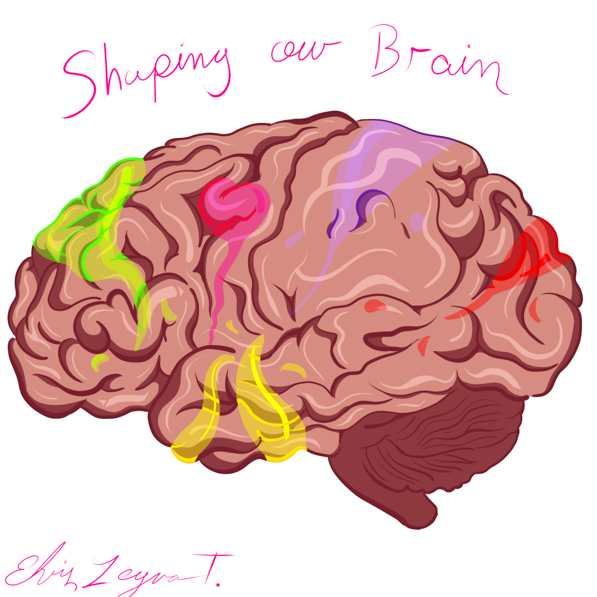 This colorful Illustration of a brain represents different thoughts or feelings