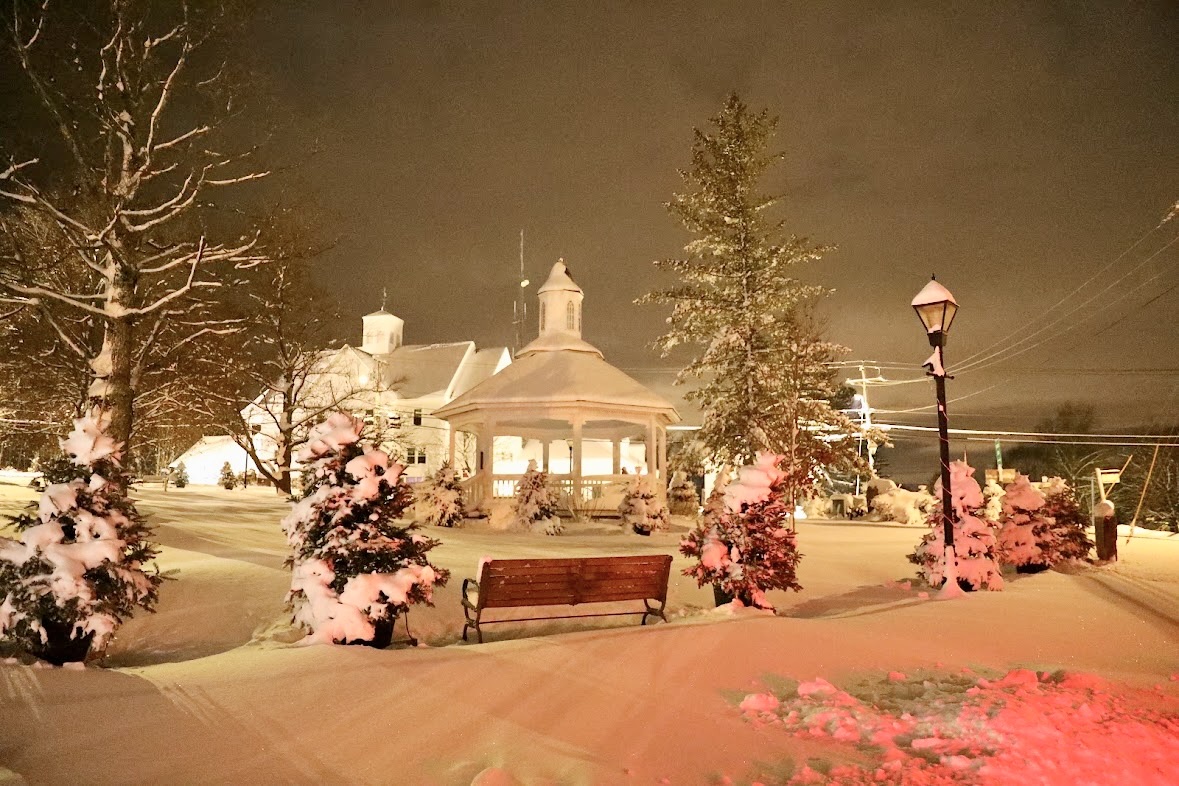 Christmas trees spread out around the Sutton center of town.