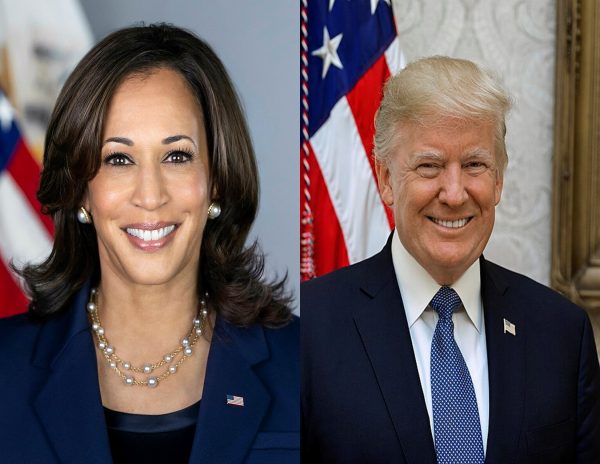 Kamala Harris and Donald Trump are the leading candidates to be the next President of the United States (Wikipedia Common)