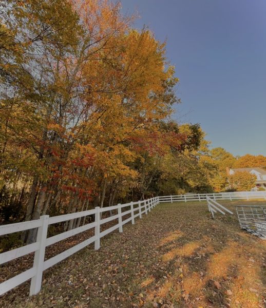 Fall foliage is part of why fall is the best season.