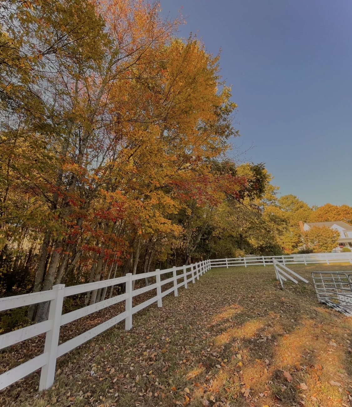 Fall foliage is part of why fall is the best season.