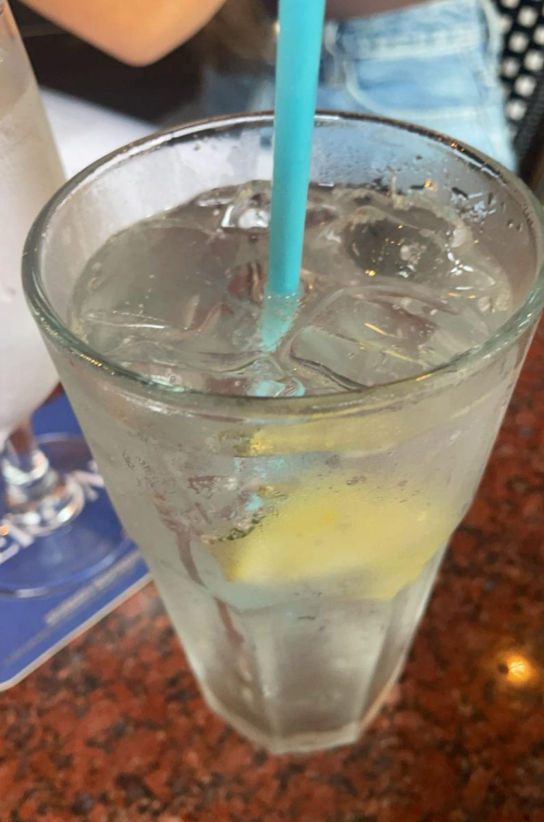 I think the best drink is seltzer water with lime. (Elise Gaul)