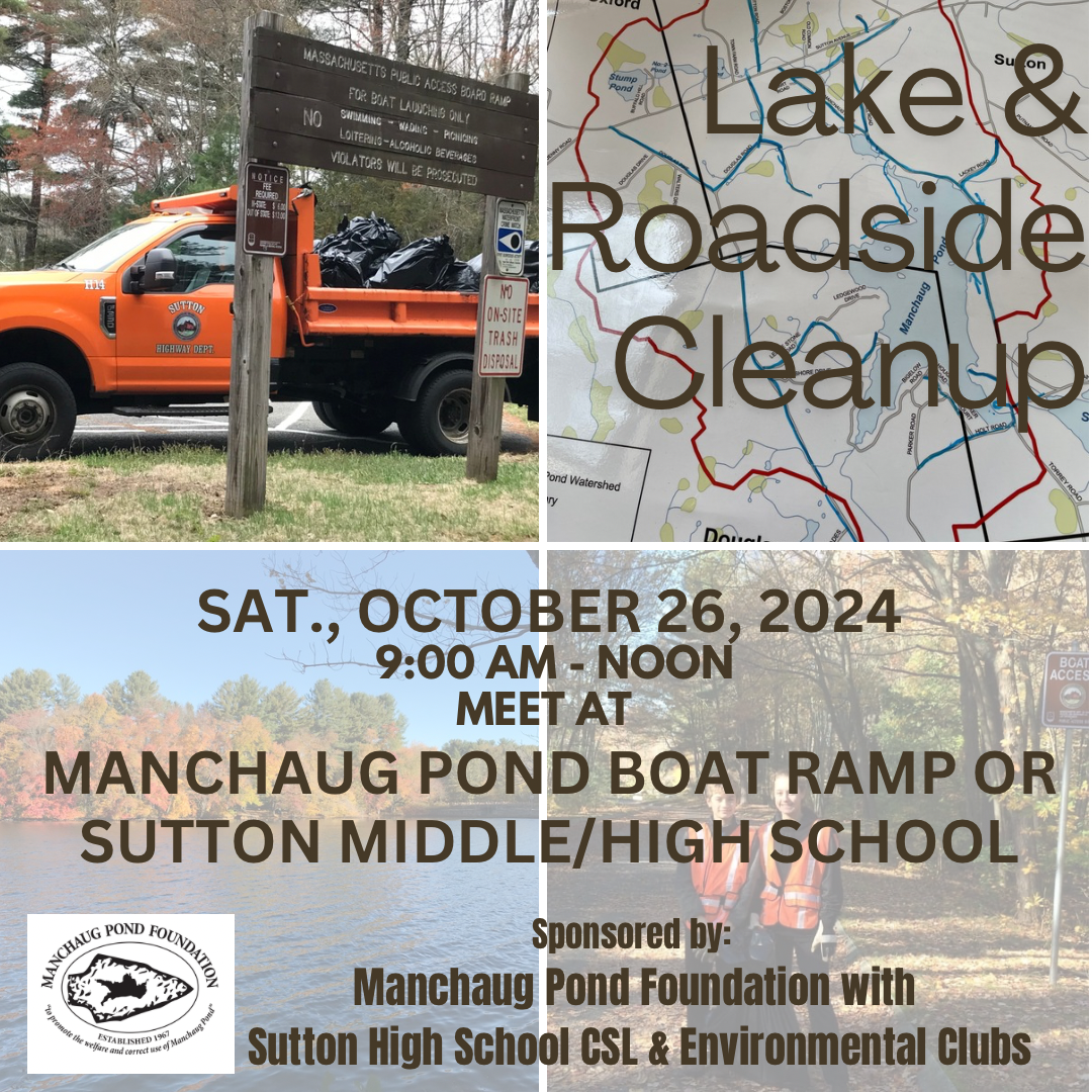 Town Cleanup on Saturday