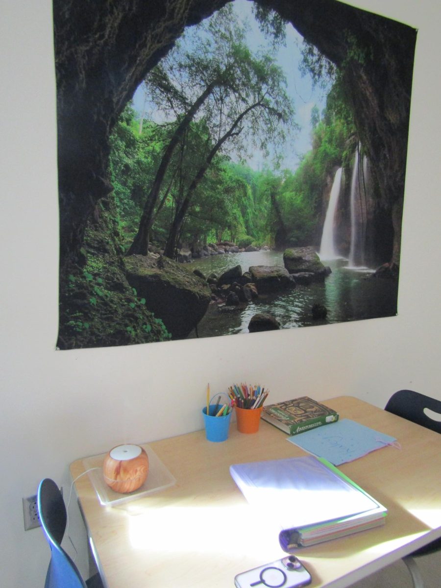 Simple photos and an Aromatherapy Diffuser can go a long ways towards better mental health.