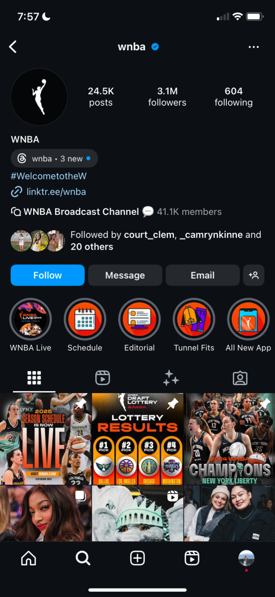 The official instagram for the WNBA. They tally 3.1M followers (Addison Jerome)