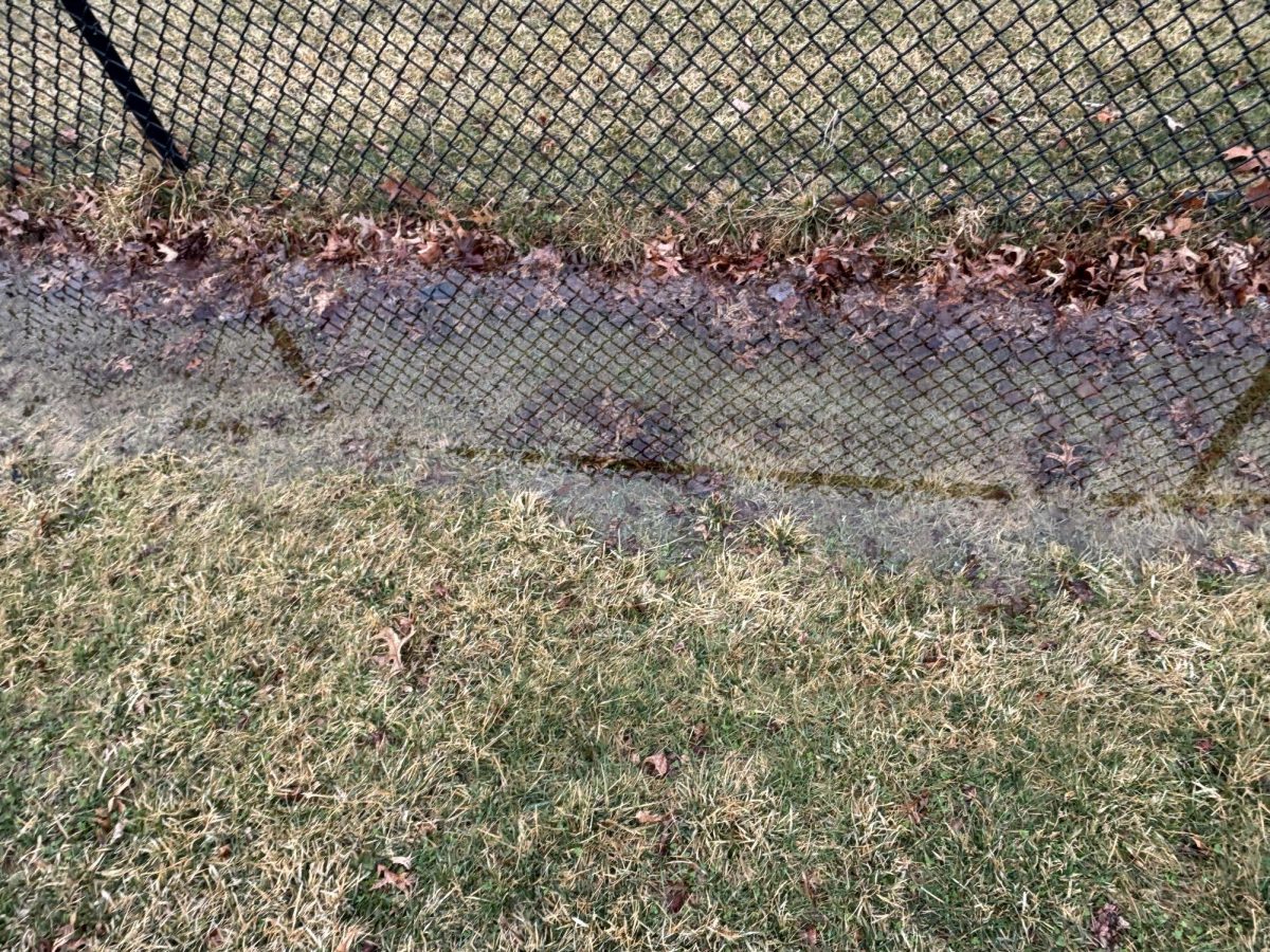 Standing water near the softball field fence is a frequent spring issue
