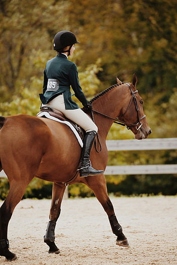 Fashion Weekly: Equestrian Fashion