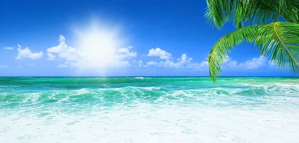 The summer time is the most beautiful season, with a bright sun and blue waters.
(Public Domain)